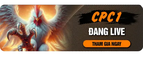 Trực Tiếp Đá Gà CPC1 Tại DAGA